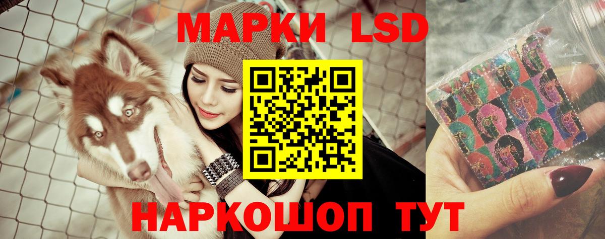 ЛСД экстази ecstasy  KRAKEN ССЫЛКА  Новоуральск  Вход с VPN 