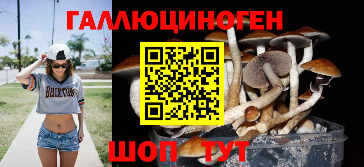 где можно купить наркотик  Псилоцибиновые грибы GOLDEN TEACHER  Вход с VPN  Новоуральск 