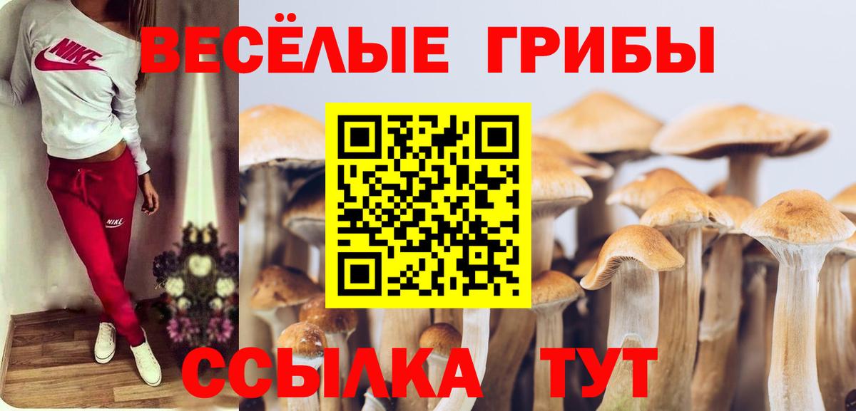 Псилоцибиновые грибы мухоморы Новоуральск